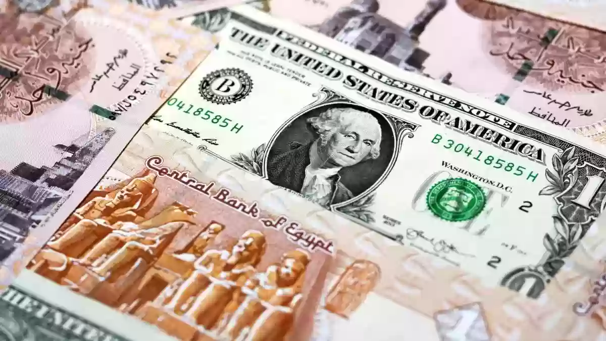  سعر الدولار اليوم أمام الجنيه المصري في البنوك والسوق السوداء