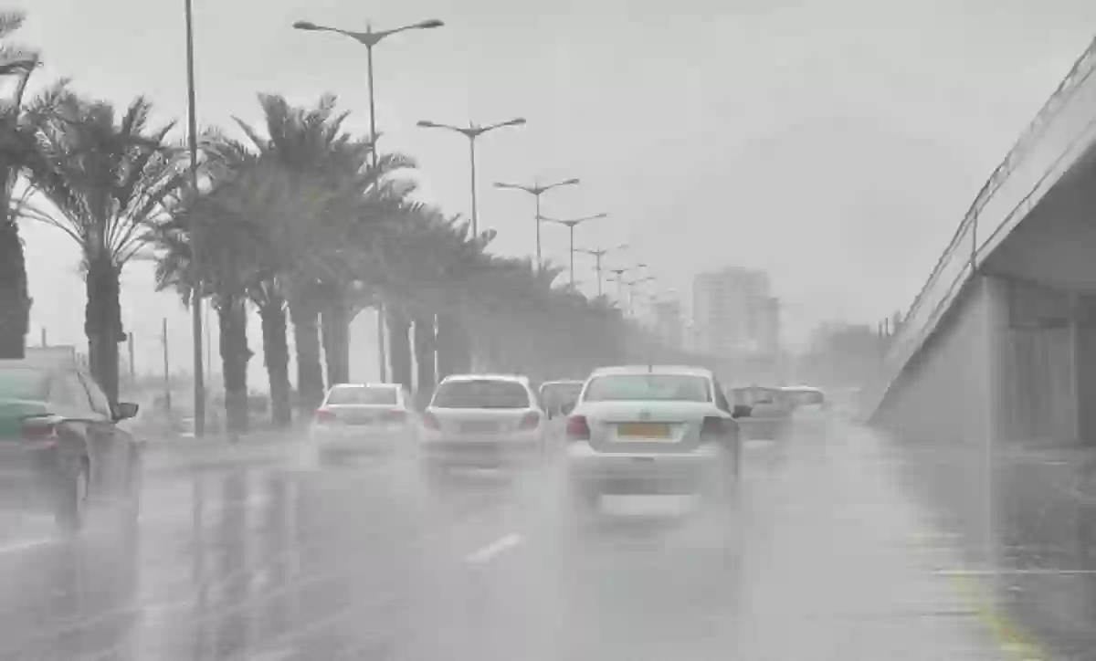 أمطار رعدية على الرياض وضباب يتسبب في انعدام الرؤية على هذه المناطق